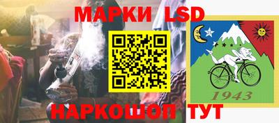 шишки Изобильный