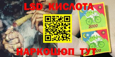 шишки Изобильный