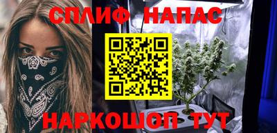 шишки Изобильный