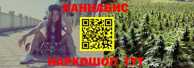 шишки Изобильный