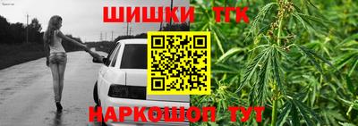 шишки Изобильный