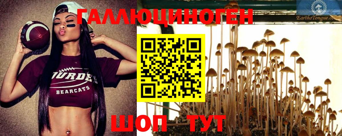 Псилоцибиновые грибы MAGIC MUSHROOMS  где продают   Орехово-Зуево  Вход с VPN 