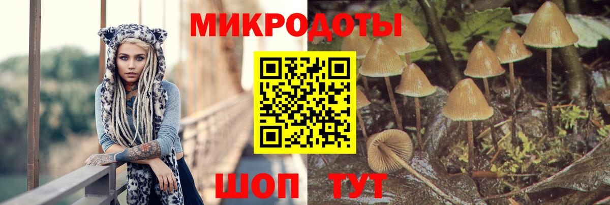 Псилоцибиновые грибы мухоморы Орехово-Зуево